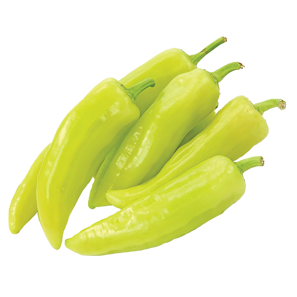 Capsicum